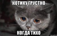 котику грустно когда тихо