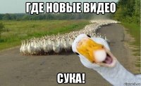 где новые видео сука!