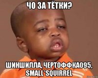 чо за тётки? шиншилла, чeртоффка095, small*squirrel