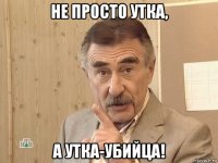 не просто утка, а утка-убийца!