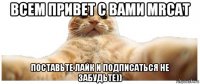 всем привет с вами mrcat поставьте лайк и подписаться не забудьте))