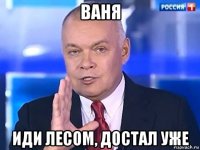 ваня иди лесом, достал уже