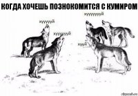 когда хочешь познокомится с кумиром