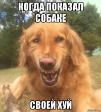 когда показал собаке своей хуй