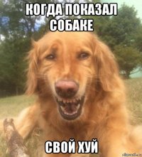 когда показал собаке свой хуй