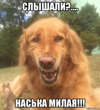 слышали?.... наська милая!!!