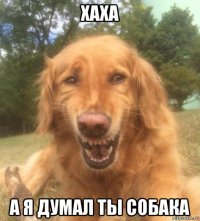 хаха а я думал ты собака