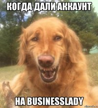 когда дали аккаунт на businesslady