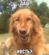 даш кость?