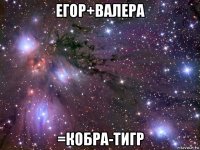 егор+валера =кобра-тигр