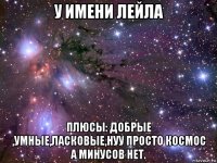 у имени лейла плюсы: добрые ,умные,ласковые,нуу просто космос а минусов нет.