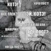 котэ! где пост? эй, котэ! когда пост? шаверма! хочу пост! кошак! все тлен... не пропускать ход! Тут была Оля.