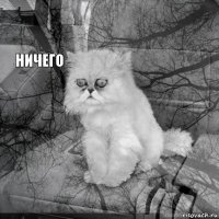        Ничего  