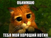 обнимаю тебя мой хороший котик