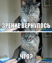 зрение вернулось что?