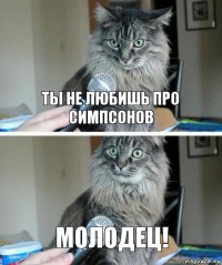 ты не любишь про симпсонов молодец!