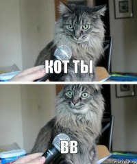 КОТ ТЫ ВВ