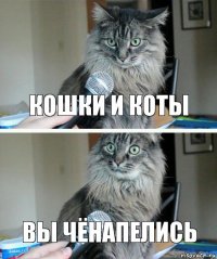 кошки и коты вы чёнапелись