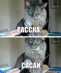 расска... сасай