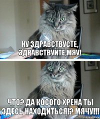 Ну здравствусте, здравствуйте,мяу! Что? Да косого хрена ты здесь находиться!? Мячу!!!