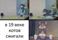 в 19 веке котов сжигали