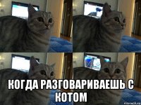  когда разговариваешь с котом