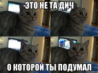 это не та дич о которой ты подумал