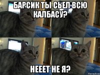 барсик ты сьел всю калбасу? нееет не я?