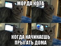 морда кота когда начинаешь прыгать дома