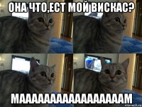 она что,ест мой вискас? мааааааааааааааааам