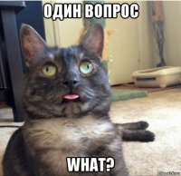 один вопрос what?