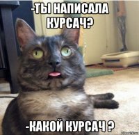 -ты написала курсач? -какой курсач ?