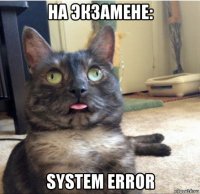 на экзамене: system error