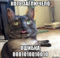 коте заглючело ошибка 0001010010010