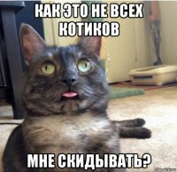 как это не всех котиков мне скидывать?