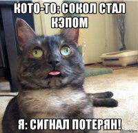 кото-то: сокол стал кэпом я: сигнал потерян!