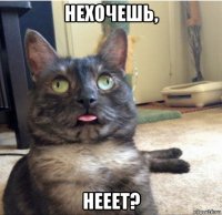 нехочешь, нееет?