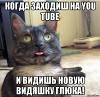 когда заходиш на you tube и видишь новую видяшку глюка!