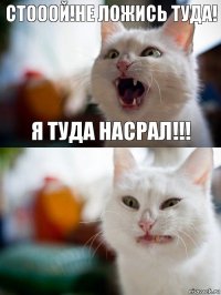 Стооой!не ложись туда! Я ТУДА НАСРАЛ!!!