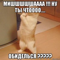 мишшшшшаааа !!! ну ты чтоооо.... обиделься ?????