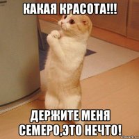 какая красота!!! держите меня семеро,это нечто!