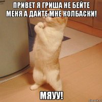 привет я гриша не бейте меня а дайте мне колбаски! мяуу!