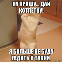 ну прошу... дай котлетку! я больше не буду гадить в тапки.