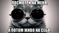 посмотри на меня. а потом живо на себя.