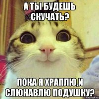 а ты будешь скучать? пока я храплю,и слюнавлю подушку?