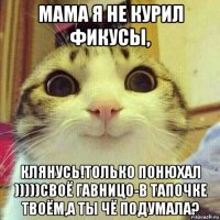 мама я не курил фикусы, клянусь!только понюхал )))))своё гавницо-в тапочке твоём,а ты чё подумала?