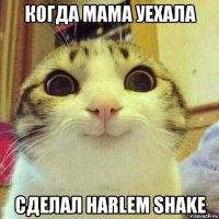 когда мама уехала сделал harlem shake