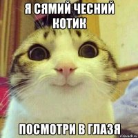 я сямий чесний котик посмотри в глазя