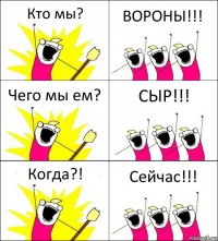 Кто мы? ВОРОНЫ!!! Чего мы ем? СЫР!!! Когда?! Сейчас!!!