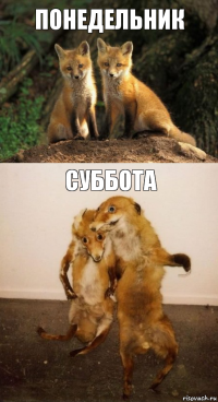 Понедельник Суббота